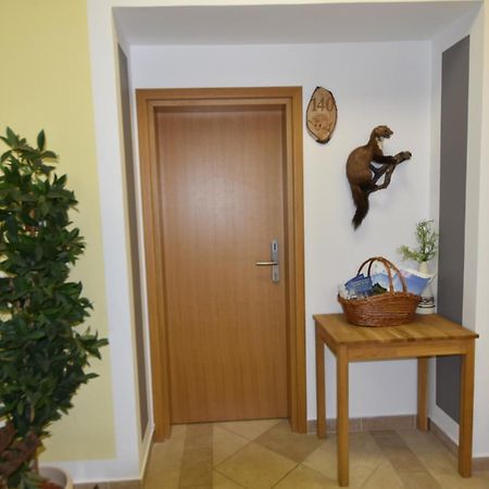 Apartments And Rooms Kod Eli Ravna Gora Extérieur photo