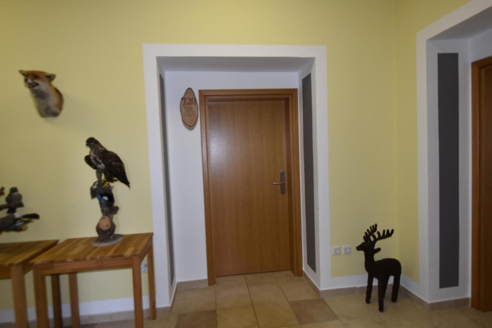 Apartments And Rooms Kod Eli Ravna Gora Extérieur photo